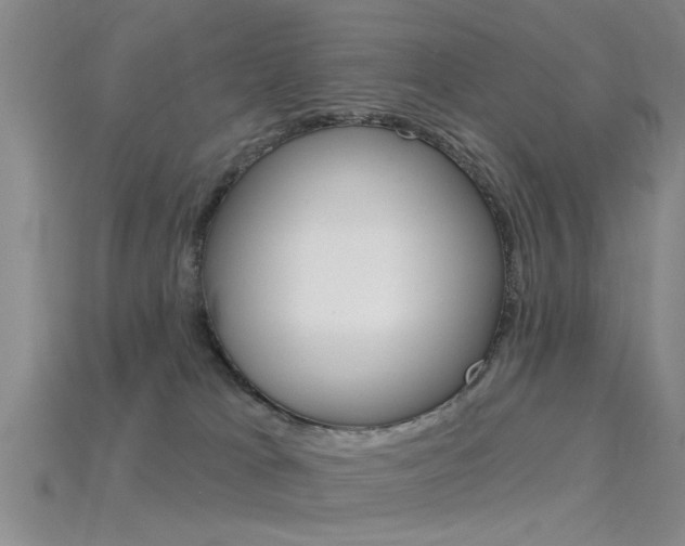 X0000115830037200911131136