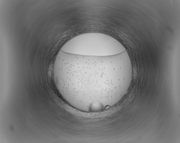 X0000115830038200911131136