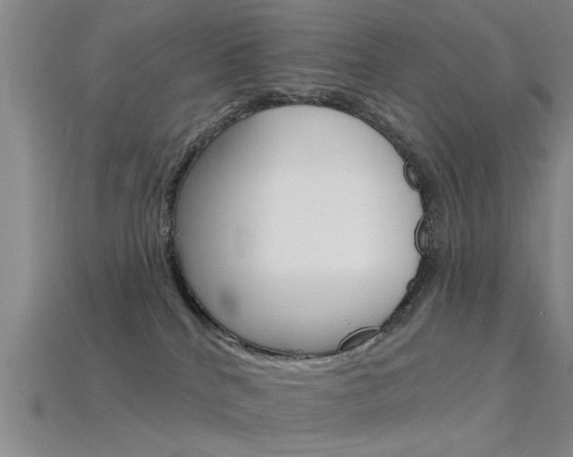 X0000115830040200911131136