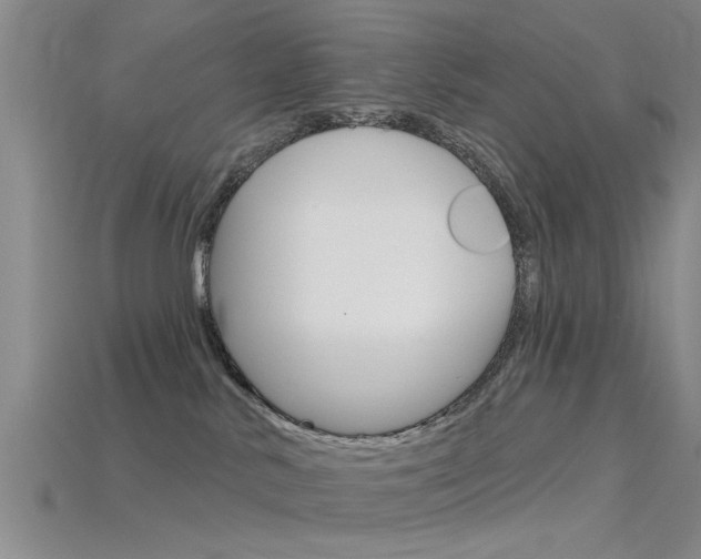 X0000115830042200911131136