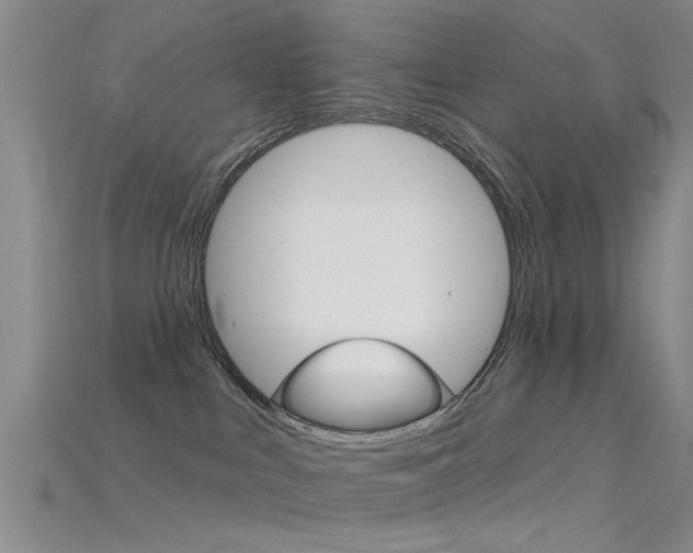 X0000115830043200911131136