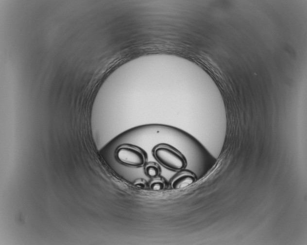 X0000115830045200911131136