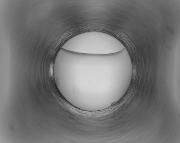 X0000115830046200911131136