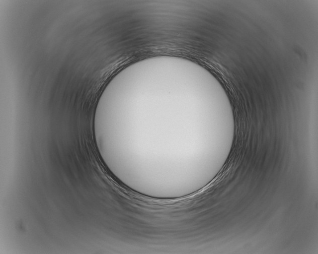 X0000115830047200911131136