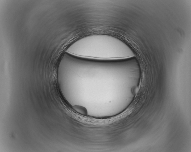 X0000115830048200911131136