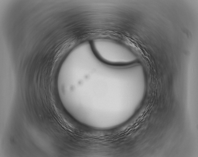 X0000115830049200911131136