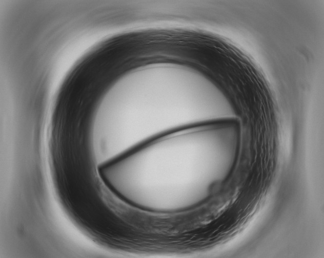 X0000115830050200911131136