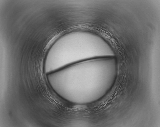 X0000115830051200911131136