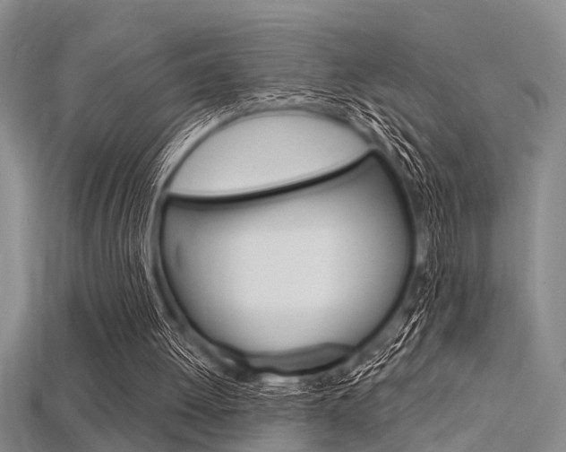 X0000115830052200911131136