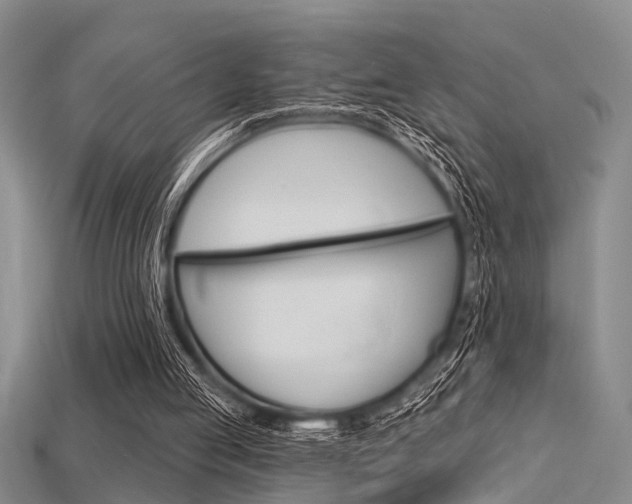 X0000115830053200911131136