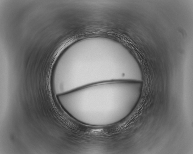 X0000115830054200911131136