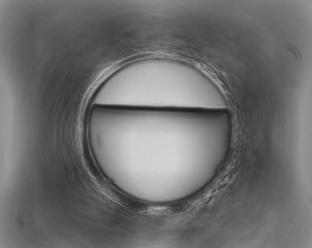 X0000115830055200911131136