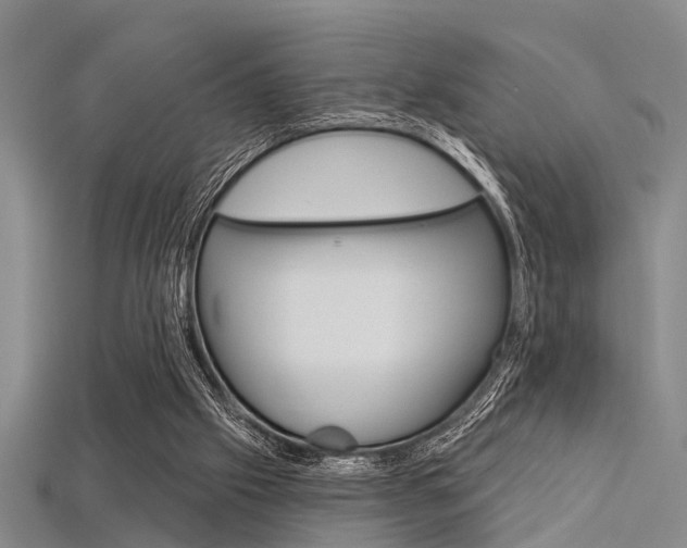 X0000115830057200911131136