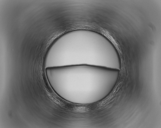 X0000115830058200911131136