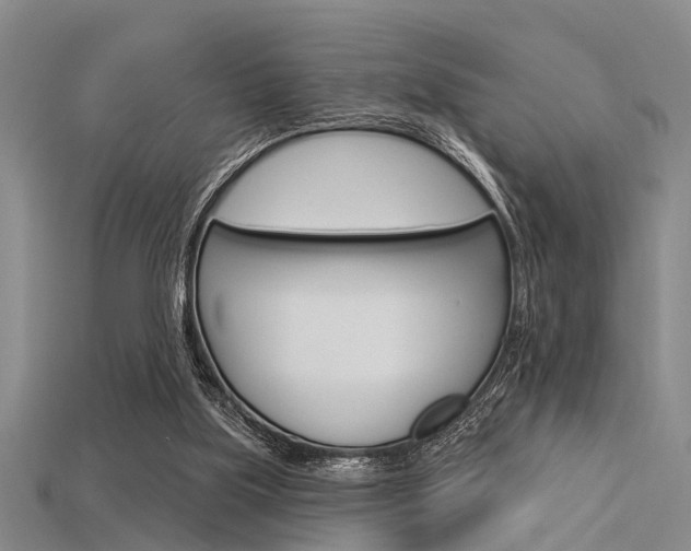 X0000115830059200911131136