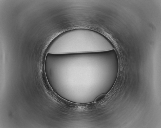 X0000115830060200911131136