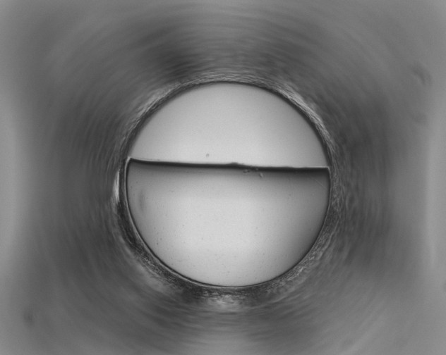 X0000115830062200911131136