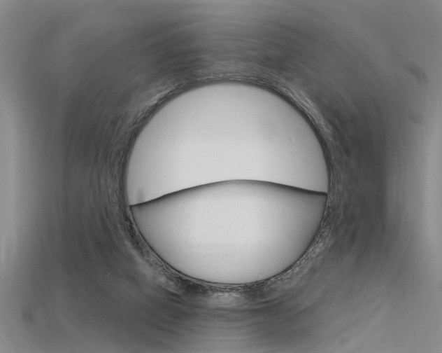 X0000115830066200911131136