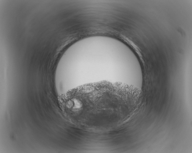 X0000115830067200911131136