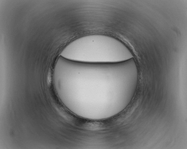 X0000115830069200911131136