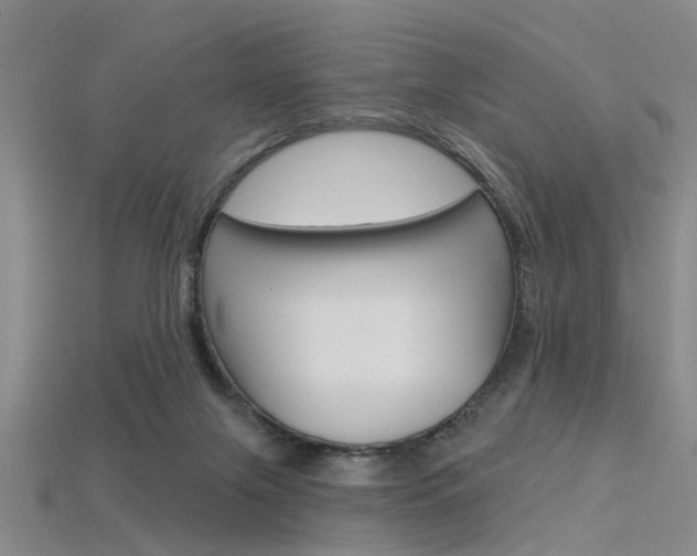 X0000115830071200911131136