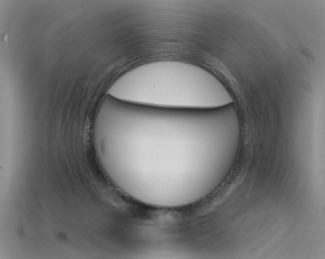 X0000115830073200911131136