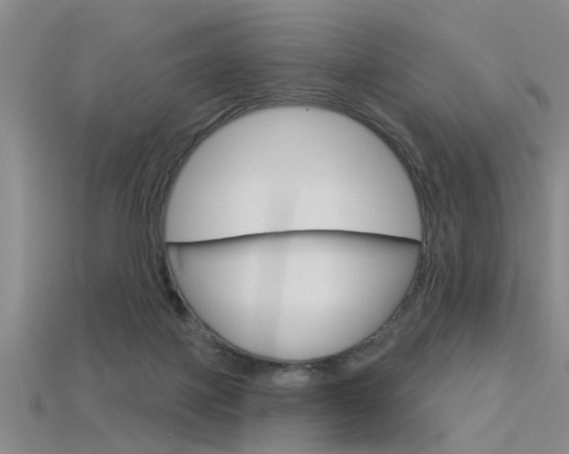 X0000115830075200911131136