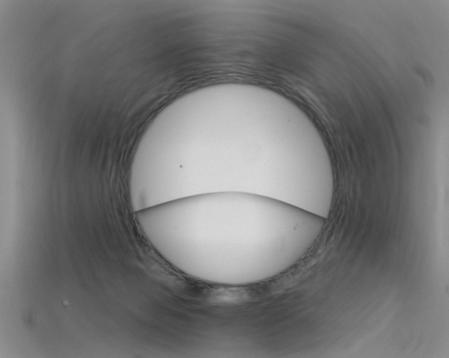 X0000115830077200911131136