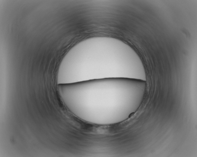 X0000115830078200911131136