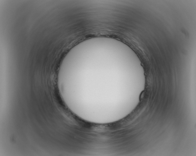 X0000115830079200911131136