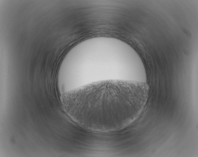 X0000115830081200911131136