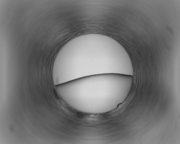 X0000115830082200911131136