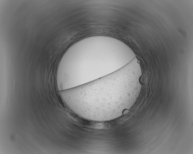 X0000115830083200911131136