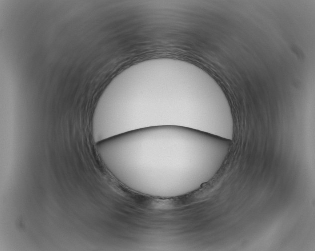 X0000115830085200911131136