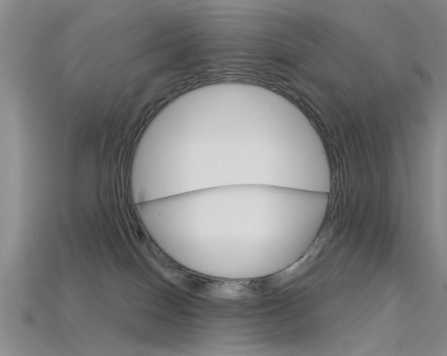 X0000115830086200911131136