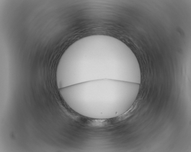 X0000115830090200911131136