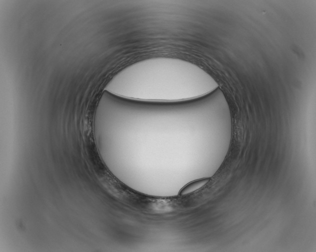 X0000115830091200911131136