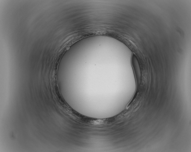 X0000115830092200911131136