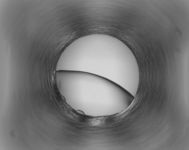 X0000115830094200911131136