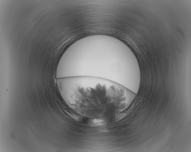 X0000115830095200911131136