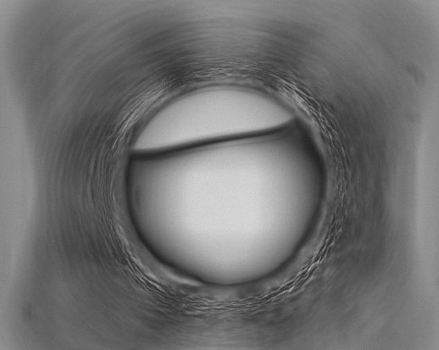 X0000115830097200911131136