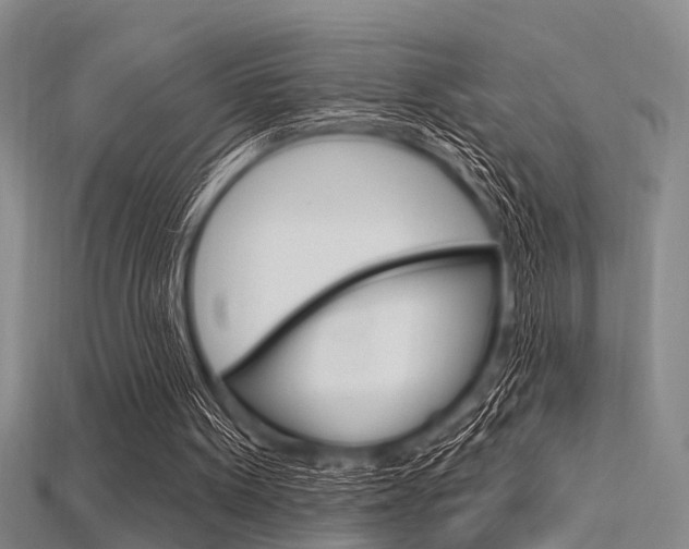 X0000115830099200911131136