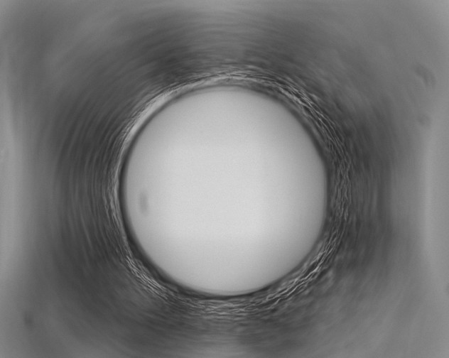 X0000115830100200911131136