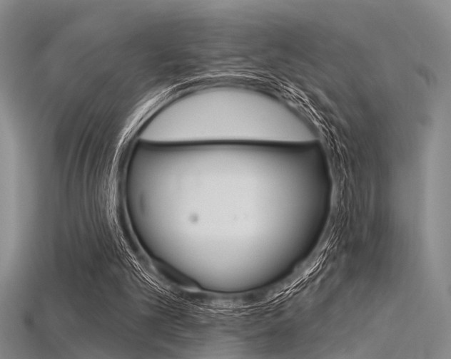 X0000115830101200911131136