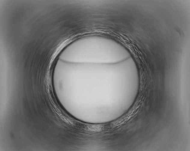 X0000115830102200911131136