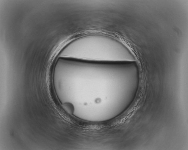 X0000115830103200911131136