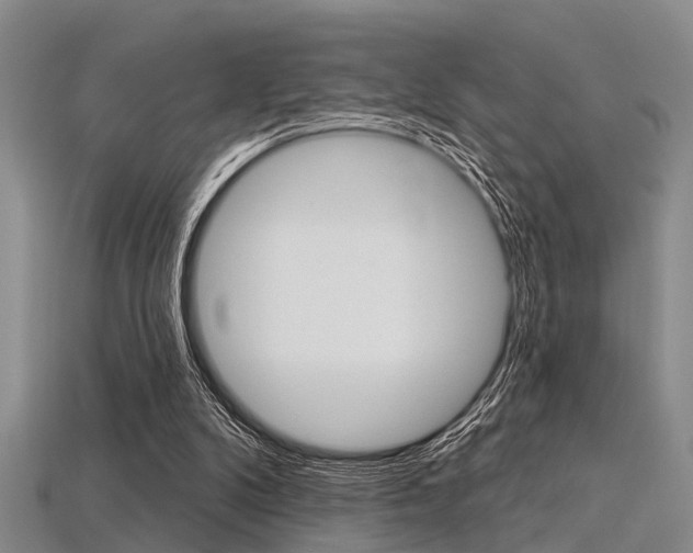 X0000115830104200911131136