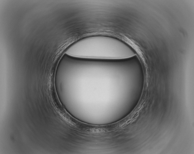 X0000115830105200911131136