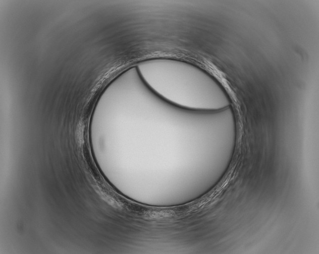 X0000115830106200911131136