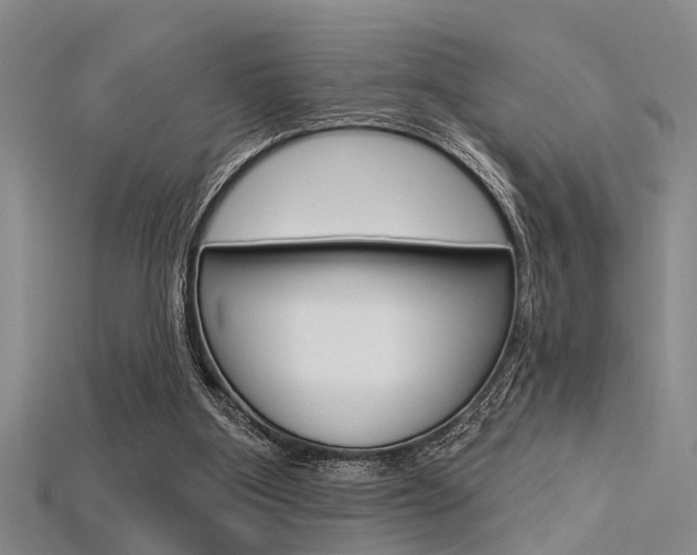 X0000115830107200911131136